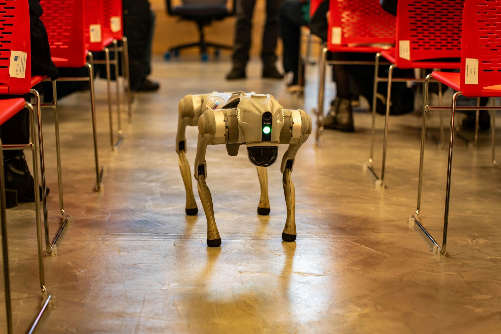 An advanced robotic dog walks through an aisle of chairs