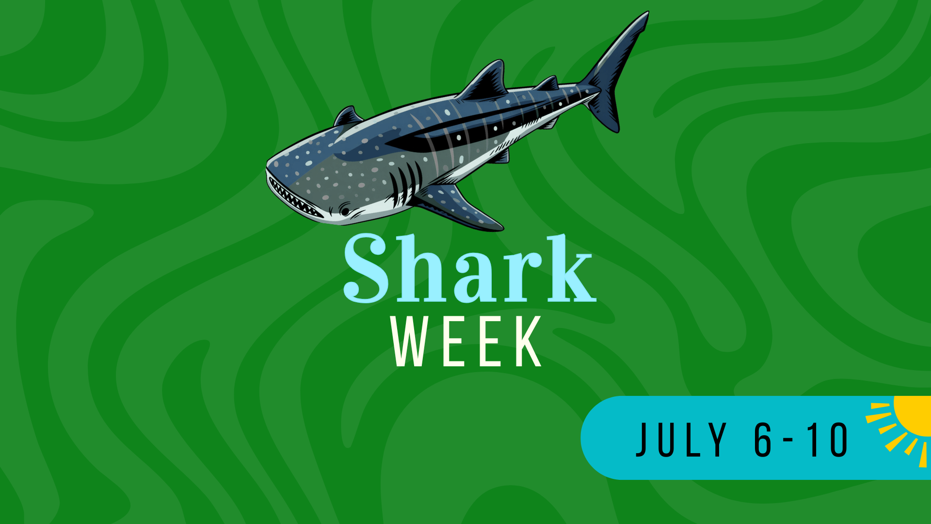 Whale shark illustration above 