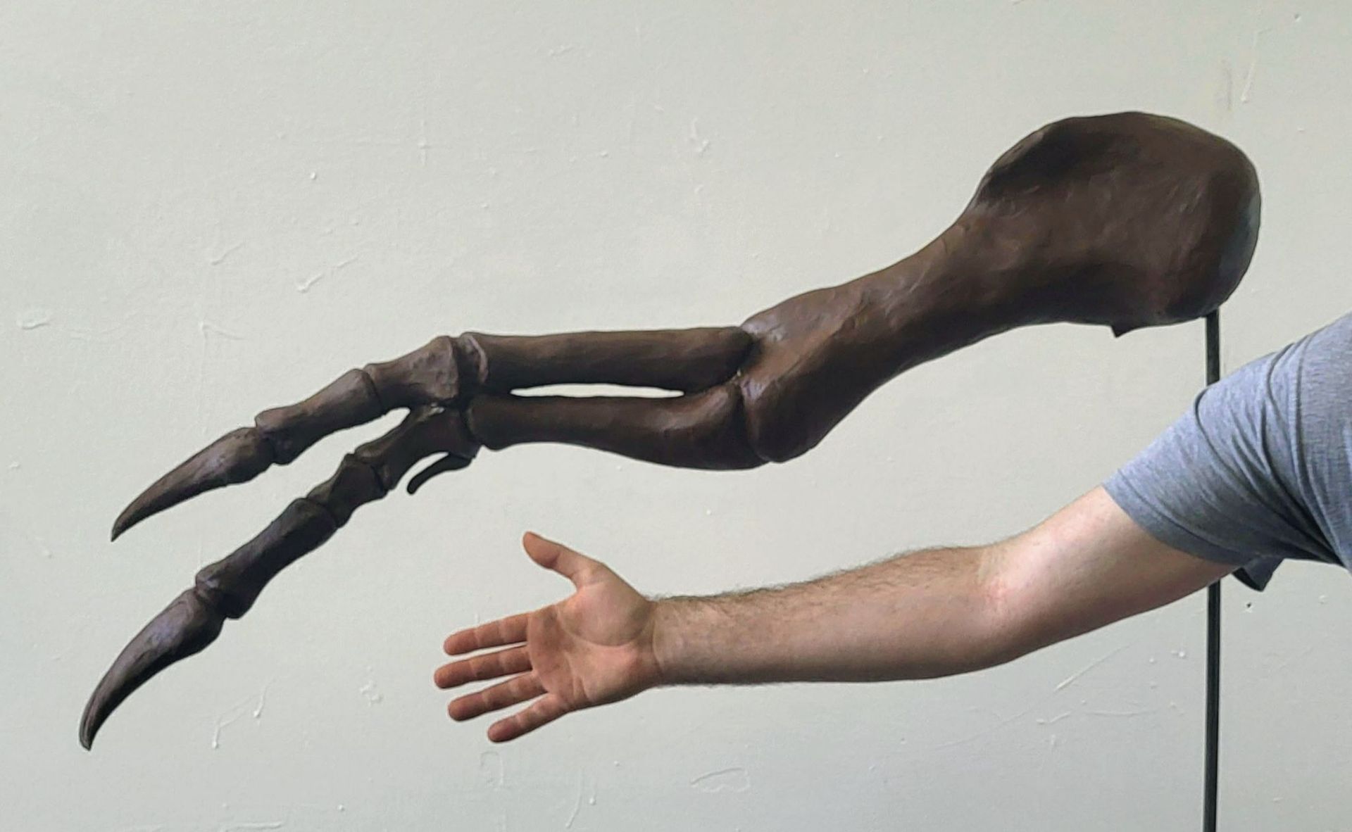 Drew Hogan, Need a Hand? Tyrannosaurus Arm Replica, Clay Sculpture