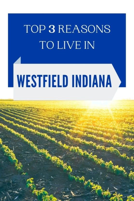 3 reasons to live in Westfield, Indiana (2) 3 reasons to live in Westfield, Indiana (2)