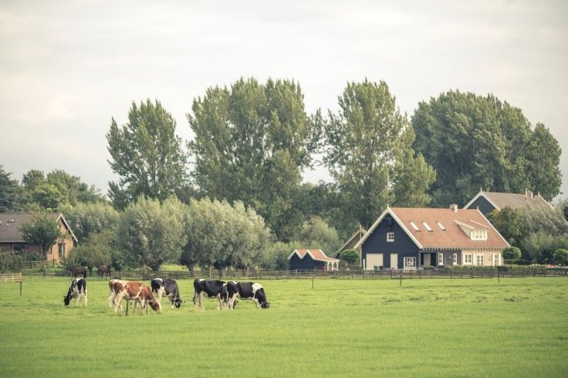 Local farm, 5 things to know before moving to Indianapolis Local farm, 5 things to know before moving to Indianapolis