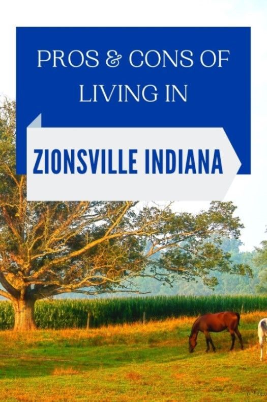 Pros & Cons of Living in Zionsville, Indiana (1) Pros & Cons of Living in Zionsville, Indiana (1)