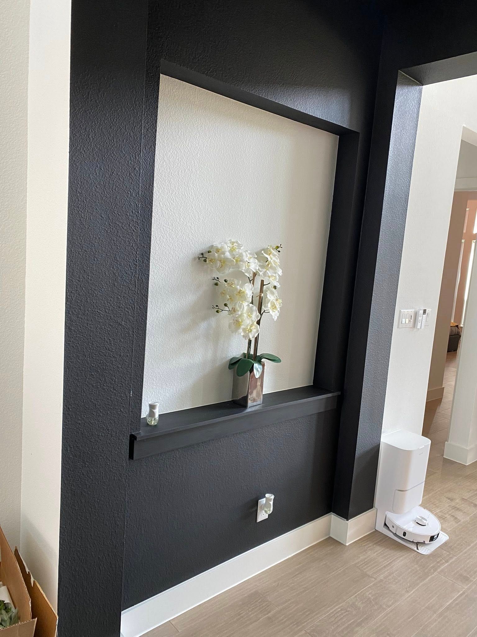 Dark-painted wall niche with an orchid, bordered by lighter walls. A robot vacuum sits nearby.