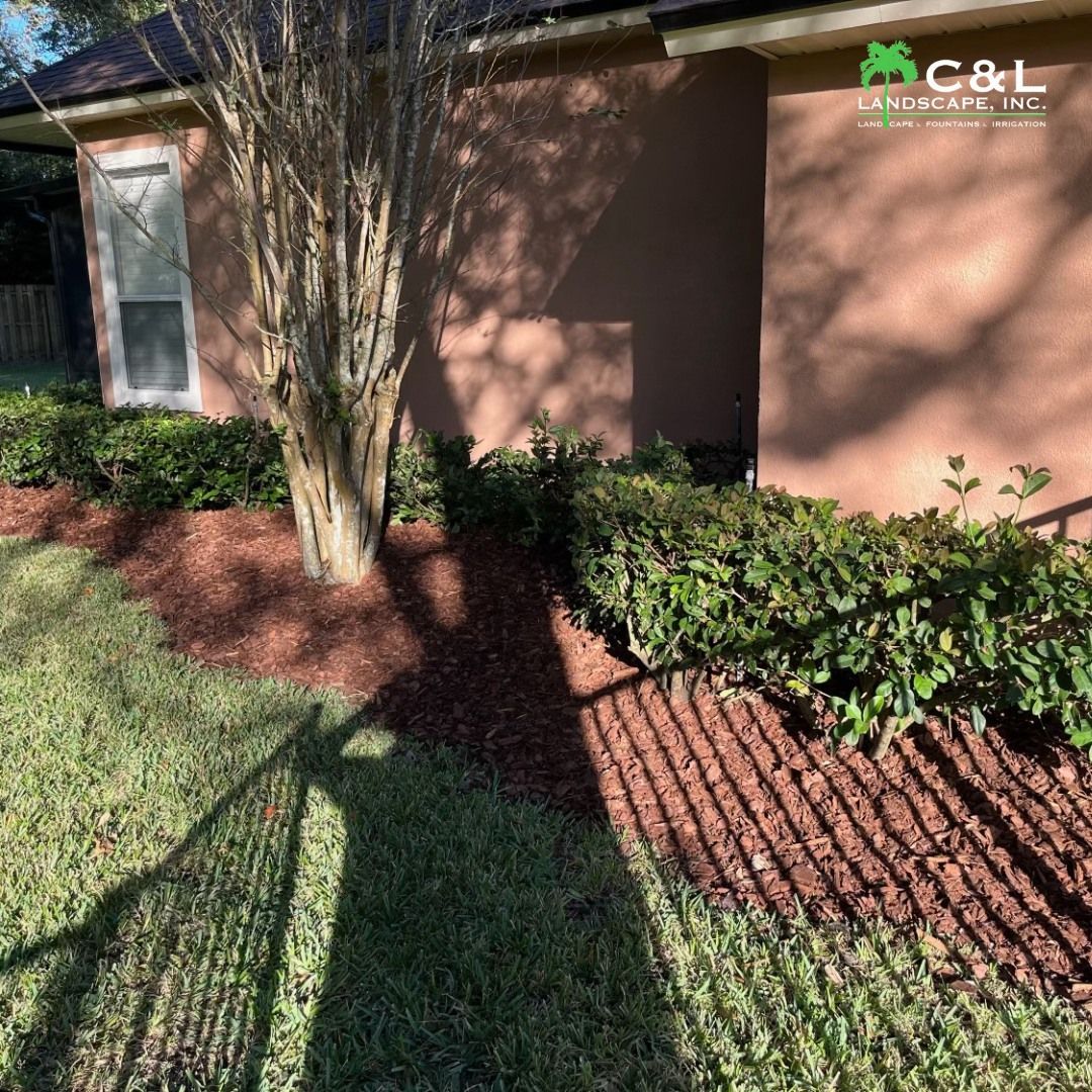 Brown mulch borders a house with a tree and green bushes, shadowed by a fence on grass.