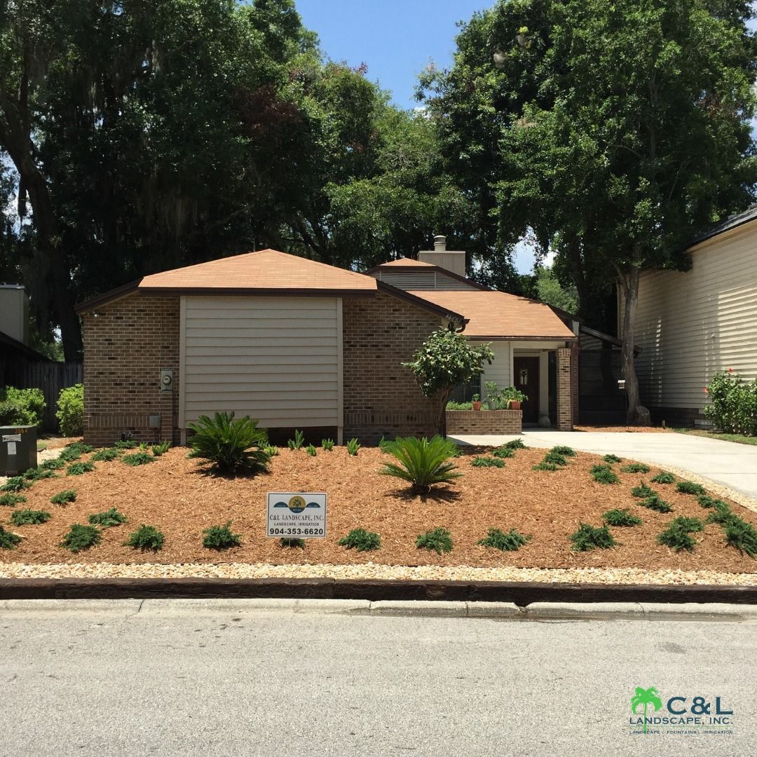 Residential property with landscaping, featuring mulch, shrubs, and small palm trees.