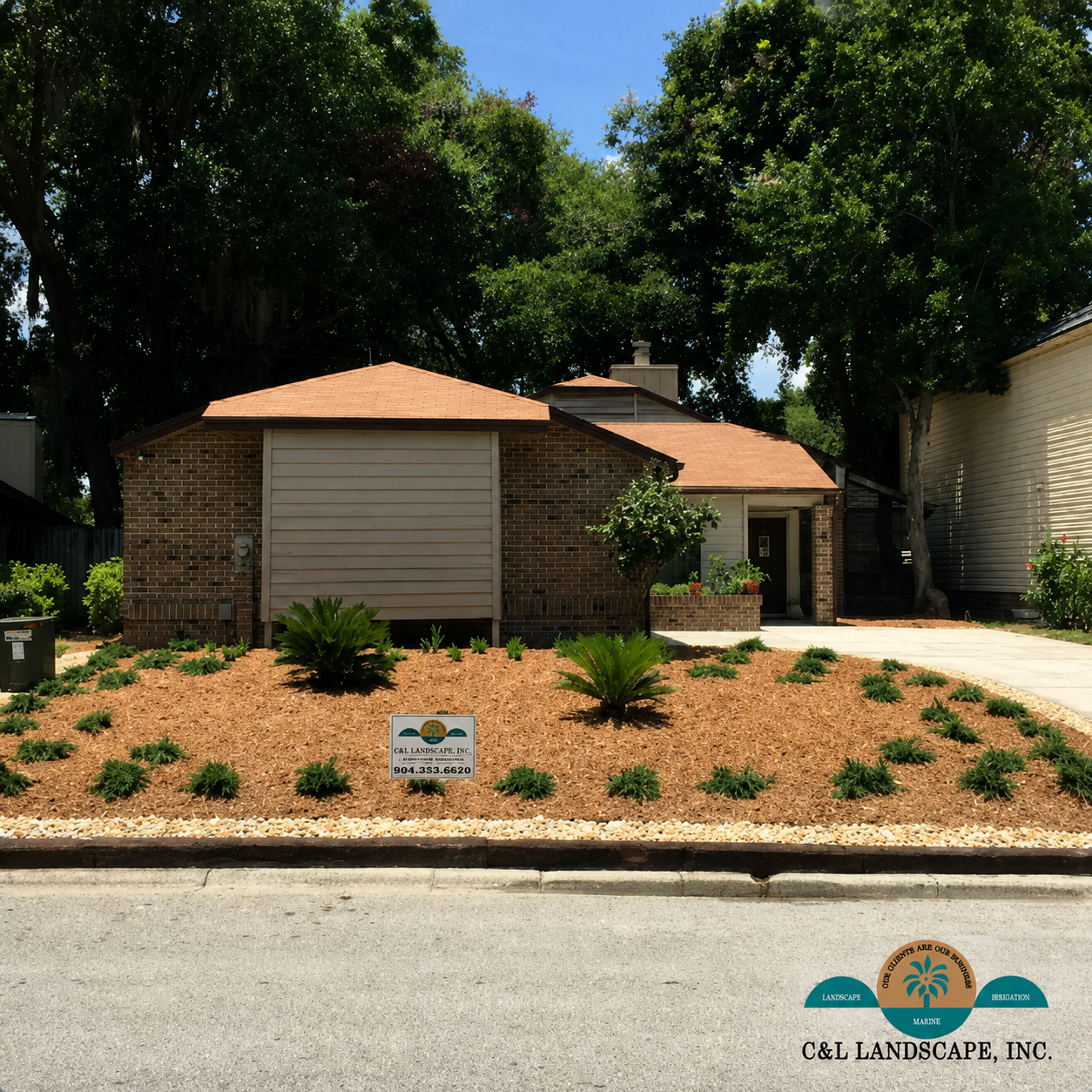 Residential property with landscaping, featuring mulch, shrubs, and small palm trees.