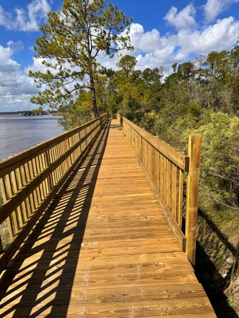 Wooden boardwalk along a river, with trees and a blue sky overhead.