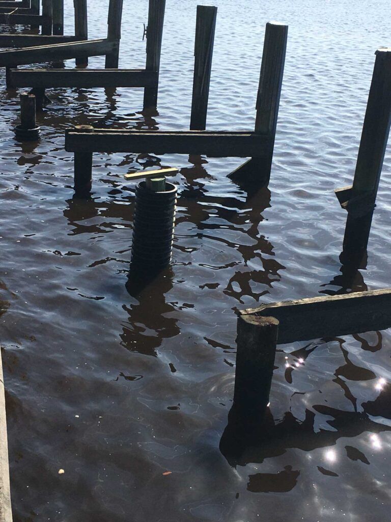 Remains of a wooden pier in dark water; weathered posts and beams jut from the surface, reflecting sunlight.