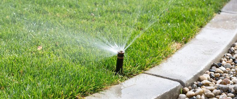 Sprinkler watering green lawn beside a concrete curb and rock border