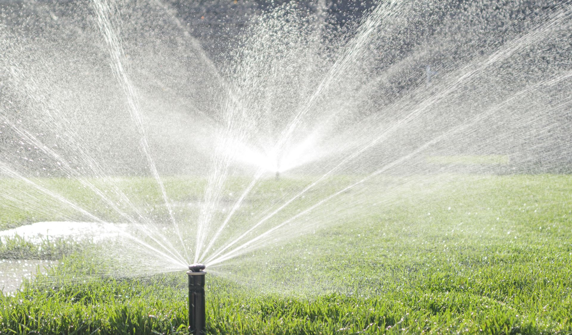 Lawn sprinkler spraying water over a green grassy field in sunlight