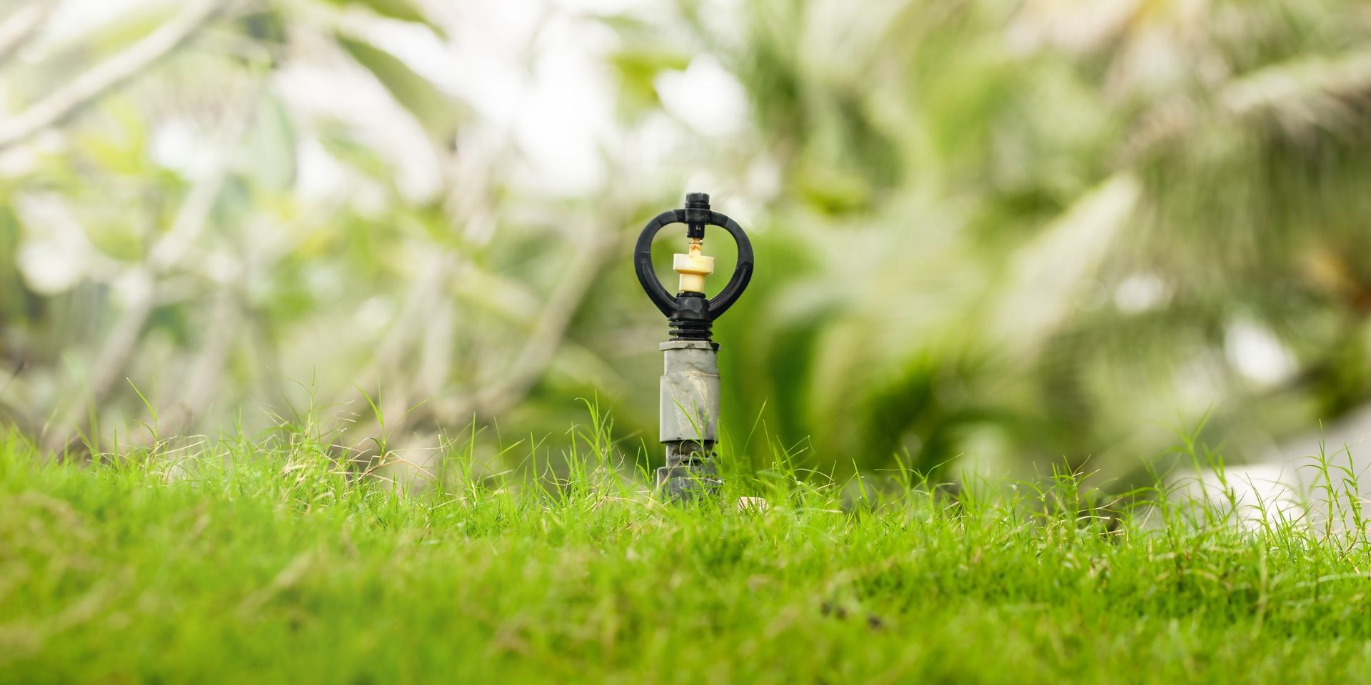 Small black garden sprinkler in green grass with blurred plants in the background