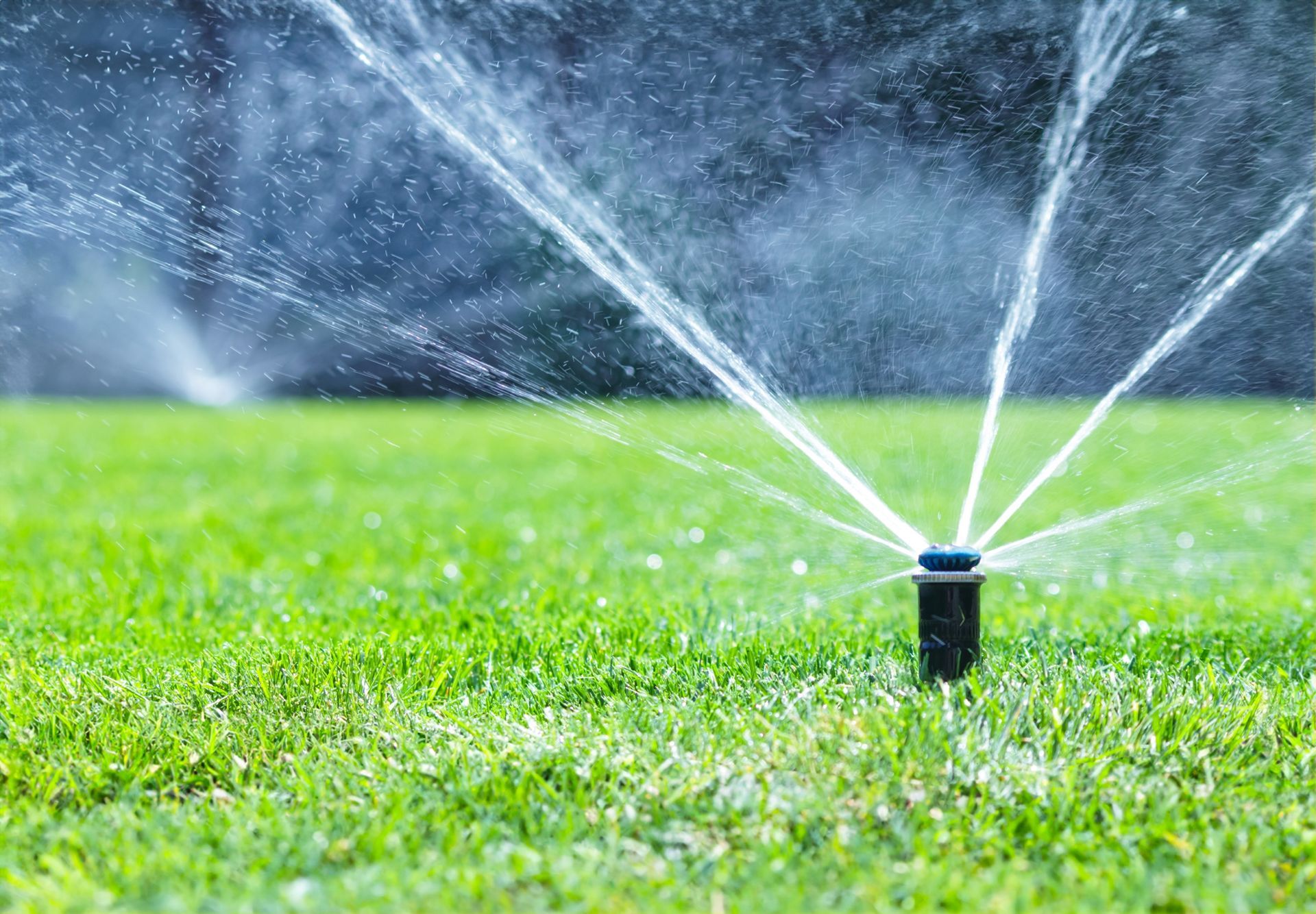 Lawn sprinkler spraying water over a green grassy field
