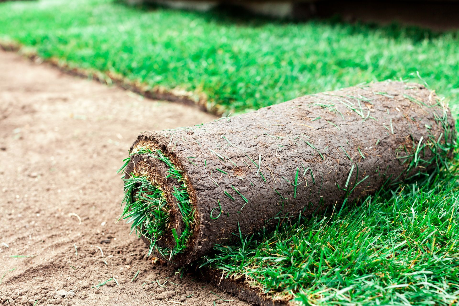 A rolled-up section of artificial grass lying on dirt beside a green lawn.