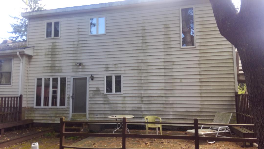 Before & After Residential White Siding Wash
