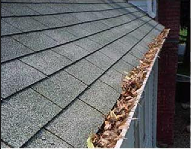 Before & After Gutter Washing