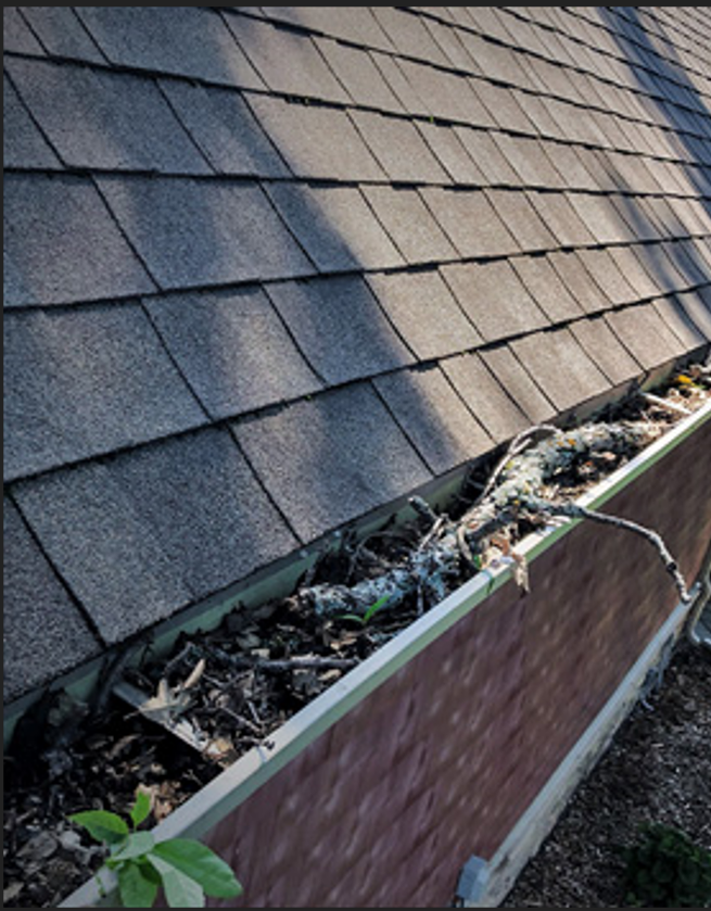 Before & After Home Gutter Cleaning