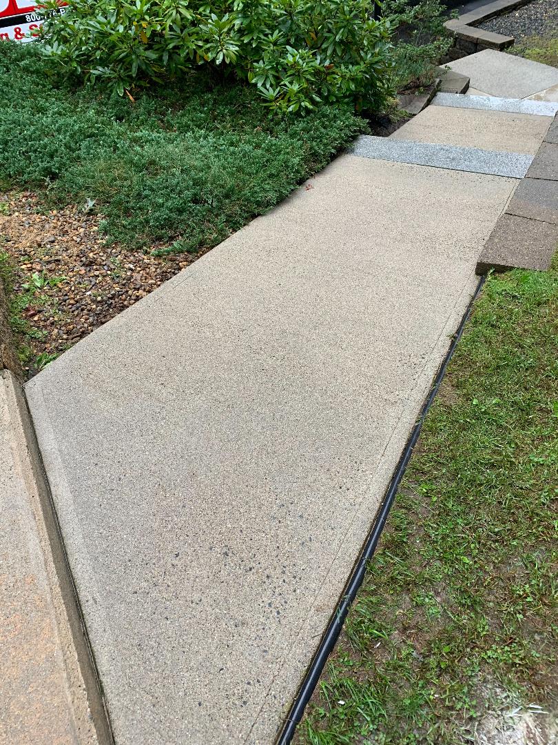 After Concrete walkway power wash