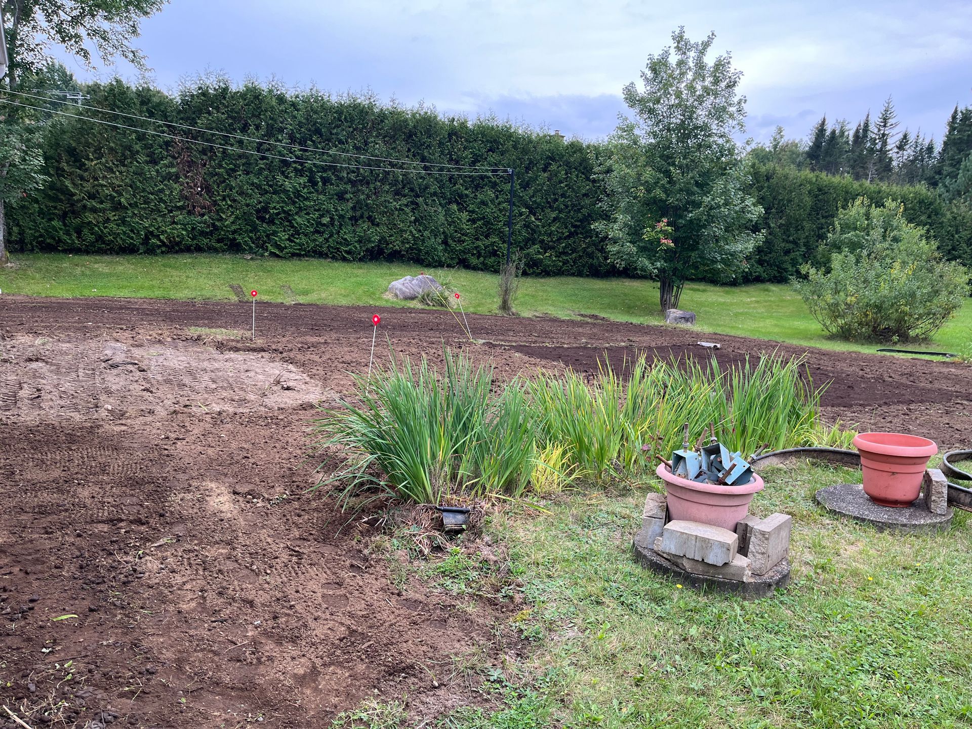 Un jardin à l'arrière d'une maison, avec une terre fraîchement labourée, entouré d'herbe et de haies sous un ciel couvert.