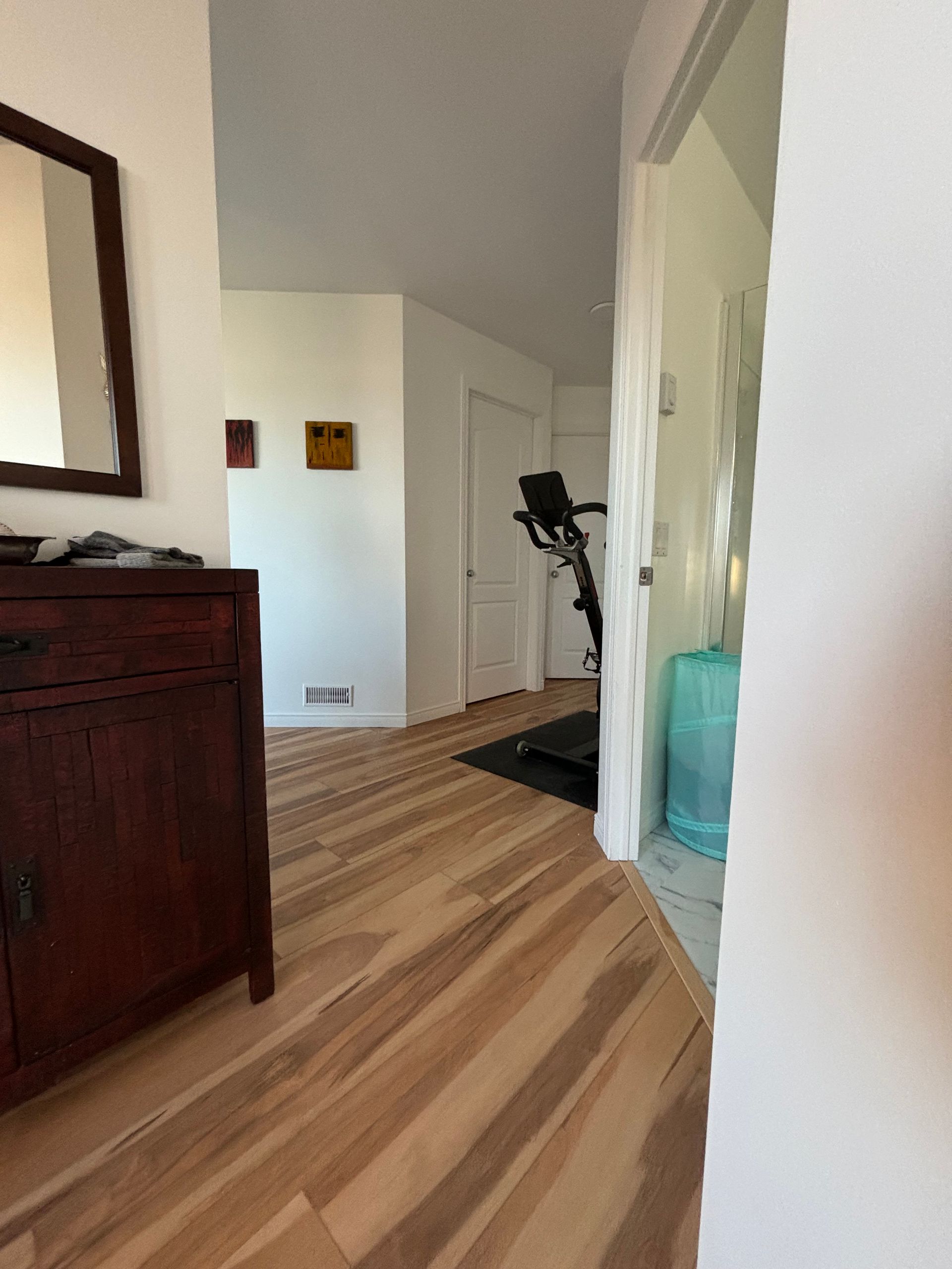 Couloir avec parquet et tapis roulant au fond, porte à droite, armoire marron et miroir à gauche.