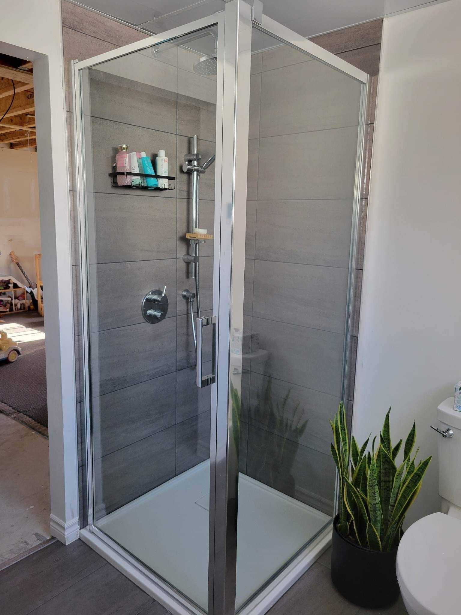 Douche vitrée avec murs carrelés gris, robinetterie argentée et une plante serpent en pot dans une salle de bains.