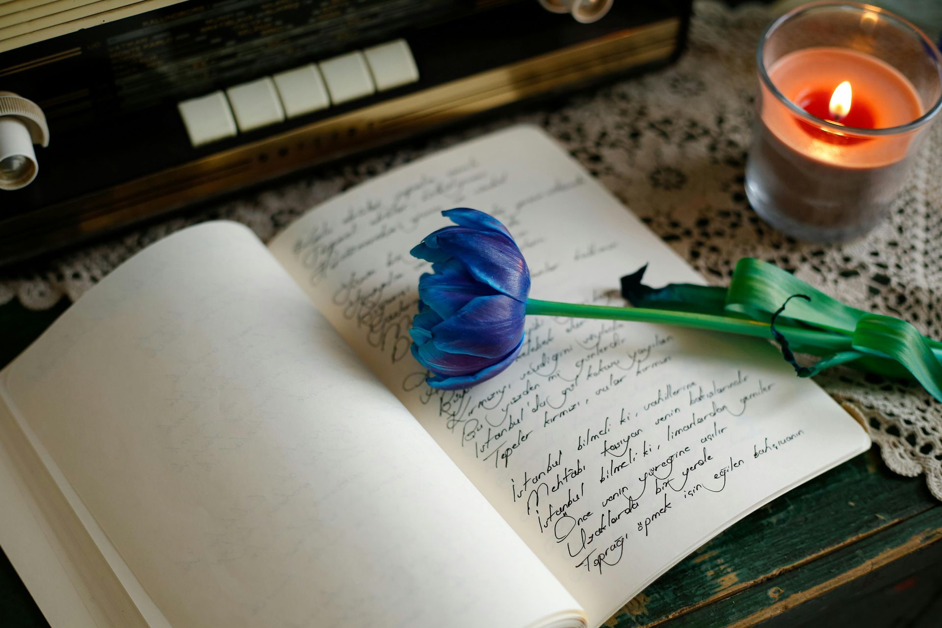 A blue flower is sitting on top of an open book next to a candle.