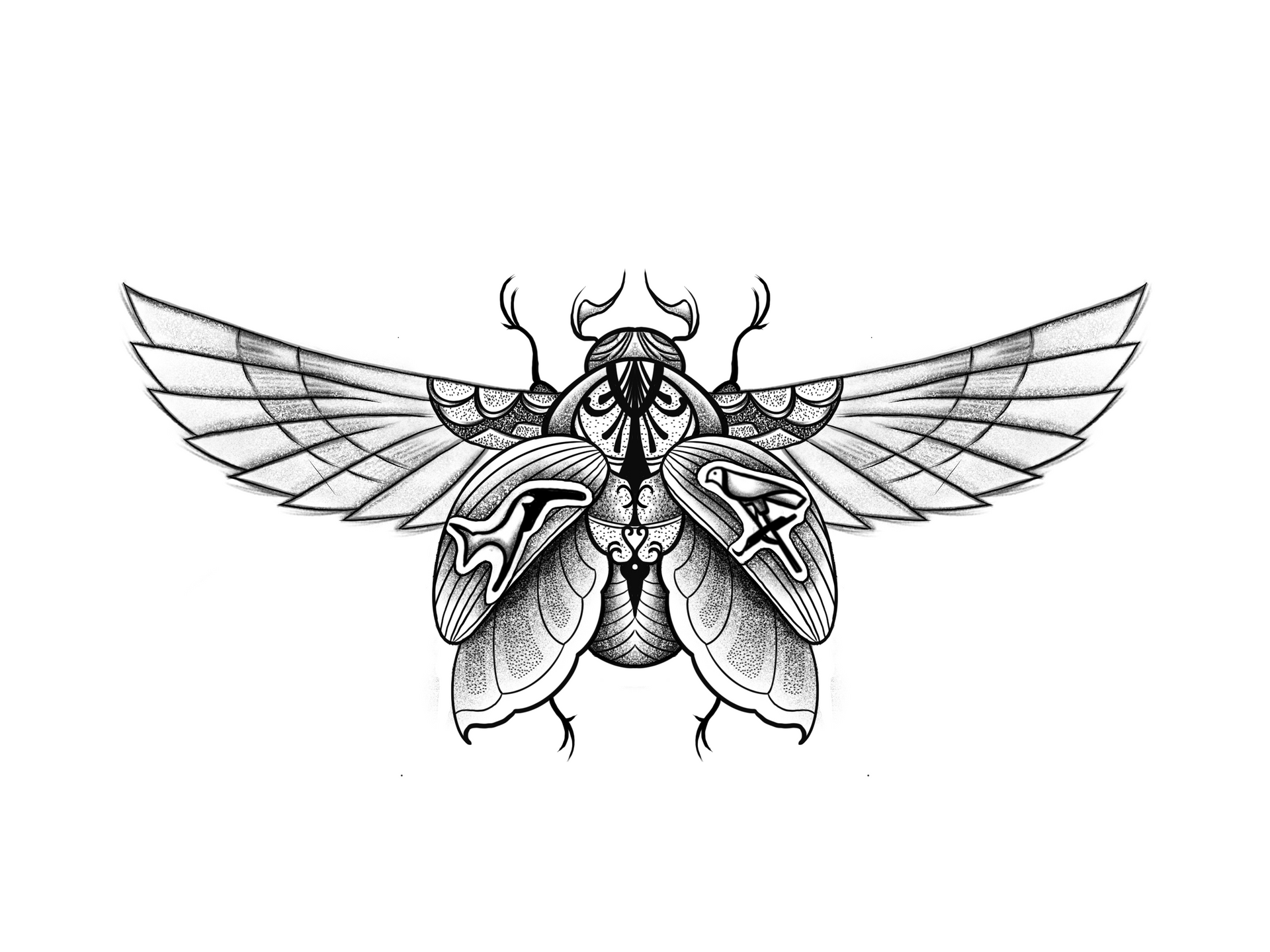 Es ist ein Schwarz-Weiß-Zeichnung eines Käfers mit Flügeln .