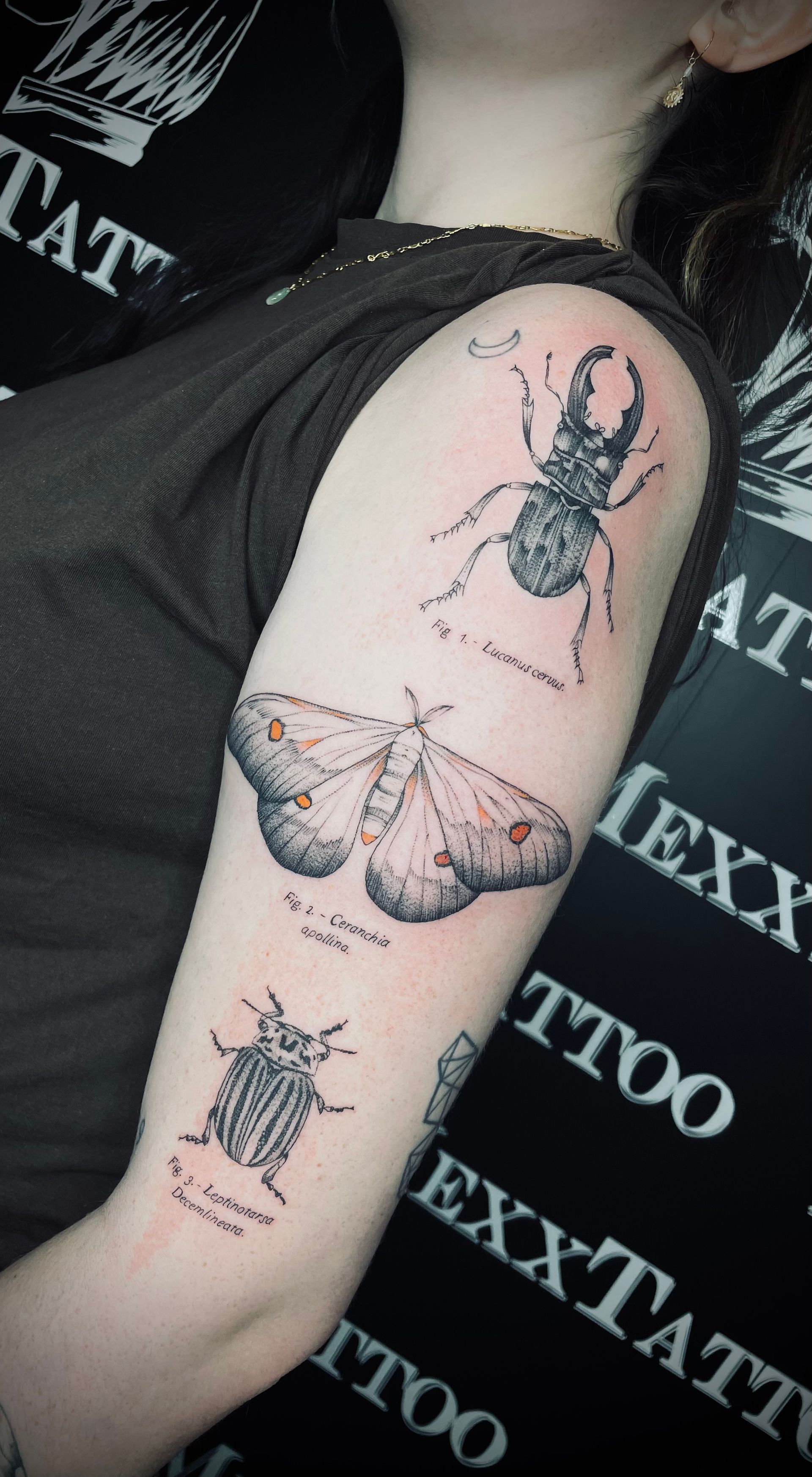 eine Frau mit einem Schmetterling und einem Käfer-Tattoo auf ihrem Arm