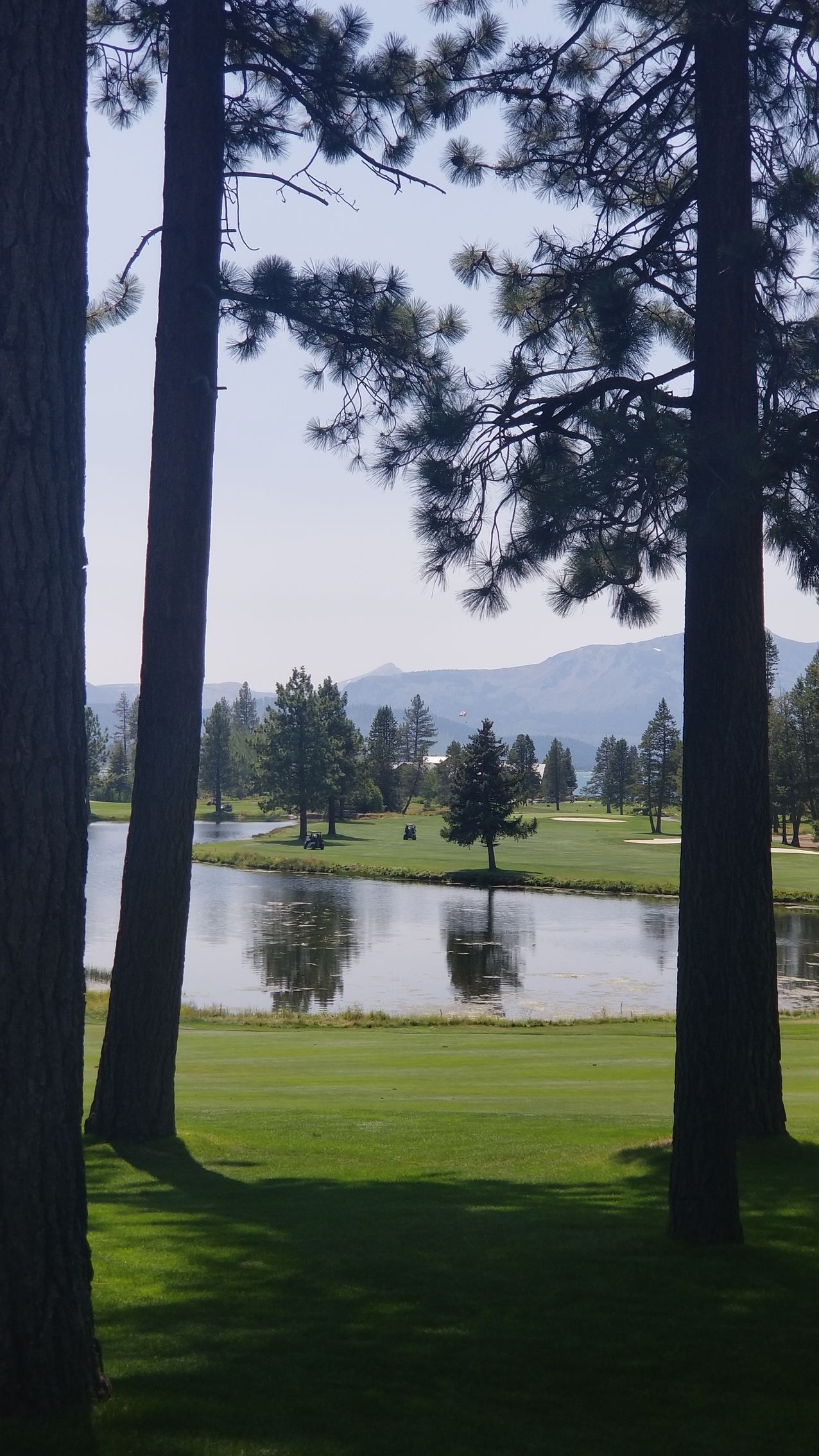 A view of a golf course through the trees