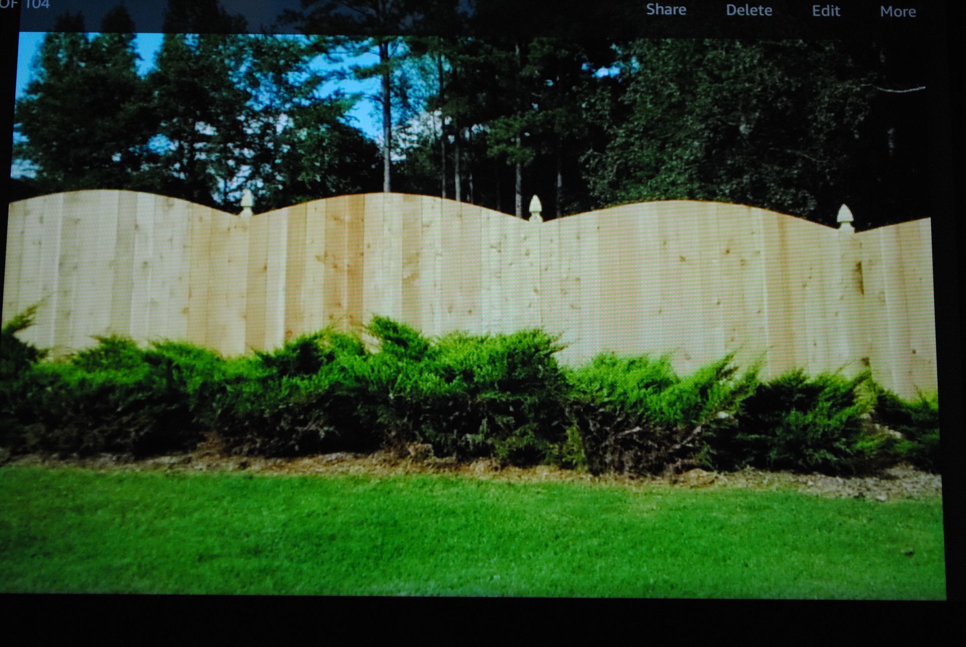 A wooden fence with concrete posts and a tree in the background.