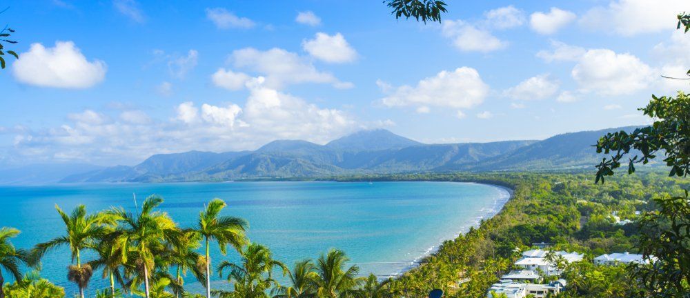 A View of A Tropical Beach with Palm Trees and Mountains in The Background — NQ Parks and Gardens in Port Douglas, QLD