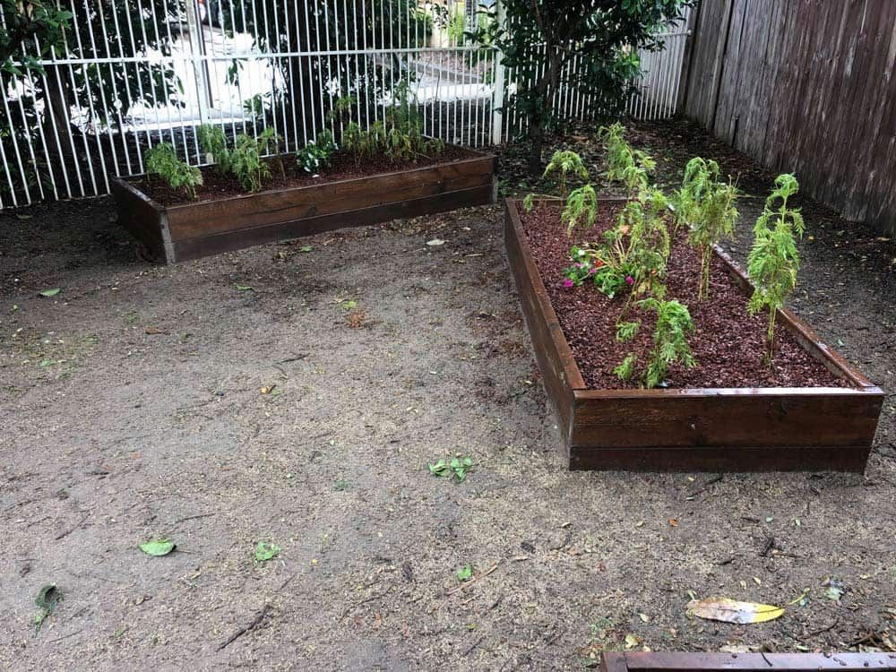 Creative Ideas Of Garden Design Plant Box — NQ Parks and Gardens in Cairns, QLD