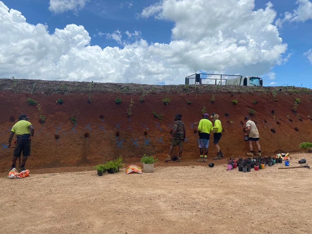 Five Male Workers Planting a Plants — NQ Parks and Gardens in Cairns, QLD