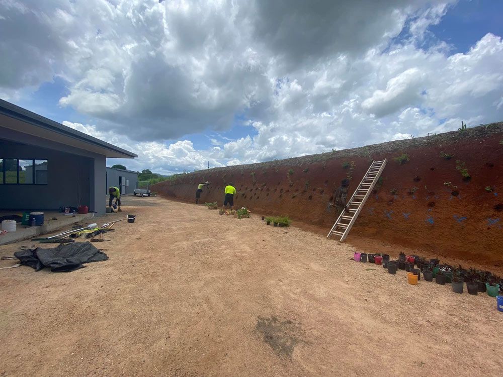 Four Male Workers Doing Shrub Planting — NQ Parks and Gardens in Cairns, QLD