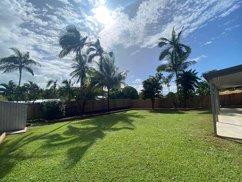 Landscaping Backyard Garden With Coconut Tree — NQ Parks and Gardens in Cairns, QLD