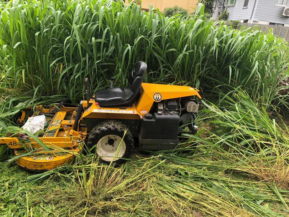 Lawn Mower Machine Cutting The Grass — NQ Parks and Gardens in Cairns, QLD