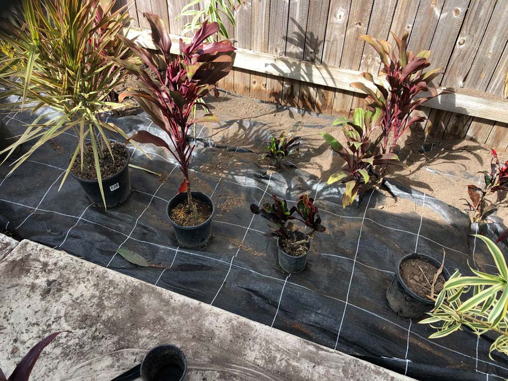 NQ Parks & Gardens Landscapers in Cairns