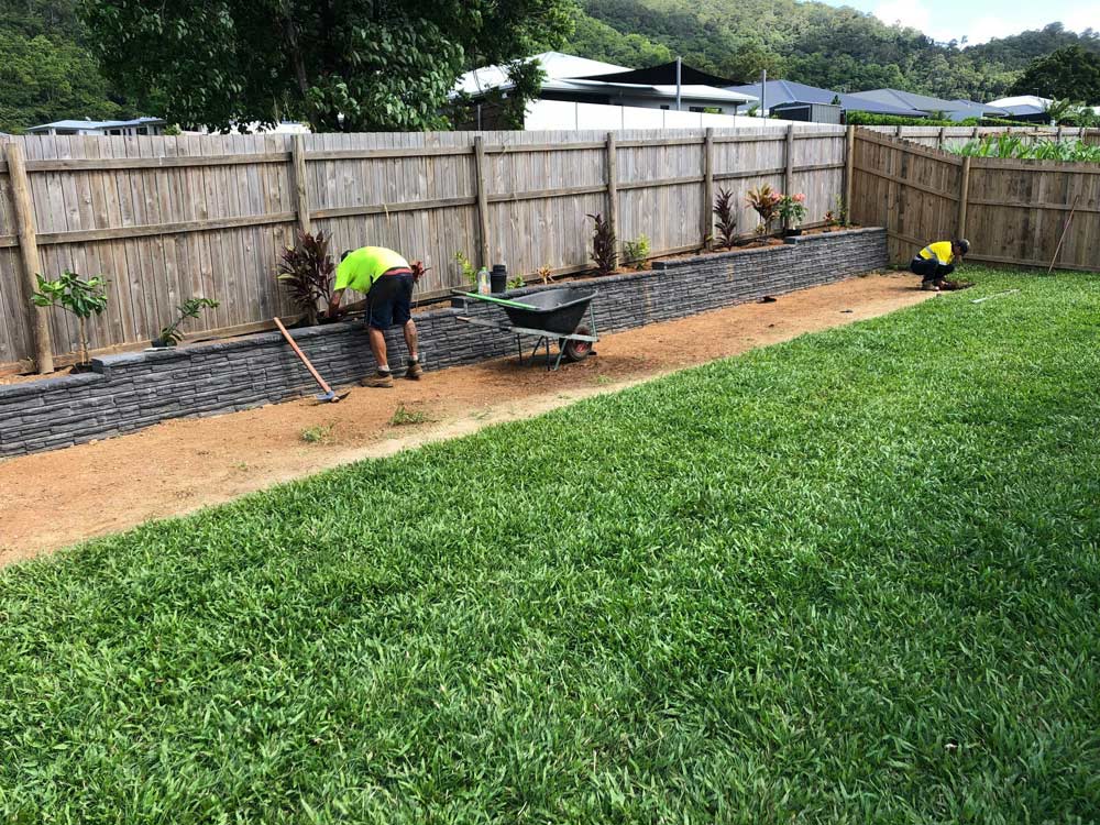 Two Professional Male Workers Giving Service For Garden Maintenance — NQ Parks and Gardens in Cairns, QLD