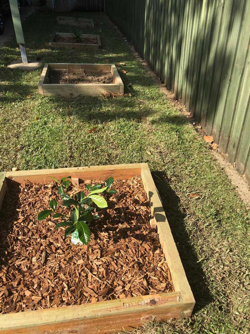 Wooden Plant Box Ideas — NQ Parks and Gardens in Cairns, QLD