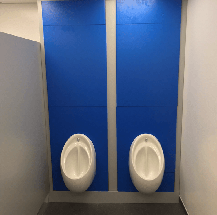 Primary School Boys Toilets Installation Cornwall