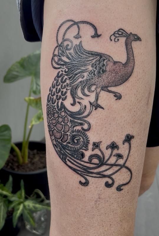 Tattoo of a stylized peacock with ornate details on a thigh. Black ink with shaded body and decorative tail.