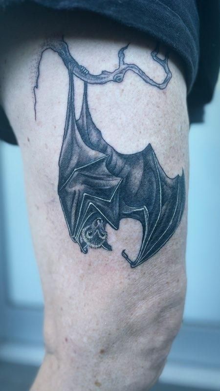 Tattoo of a bat hanging upside down on a branch, shaded in black and grey on a thigh.