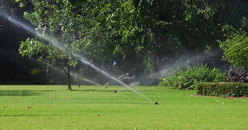 Complete maintenance of sprinkler system in Wisconsin Rapids, WI