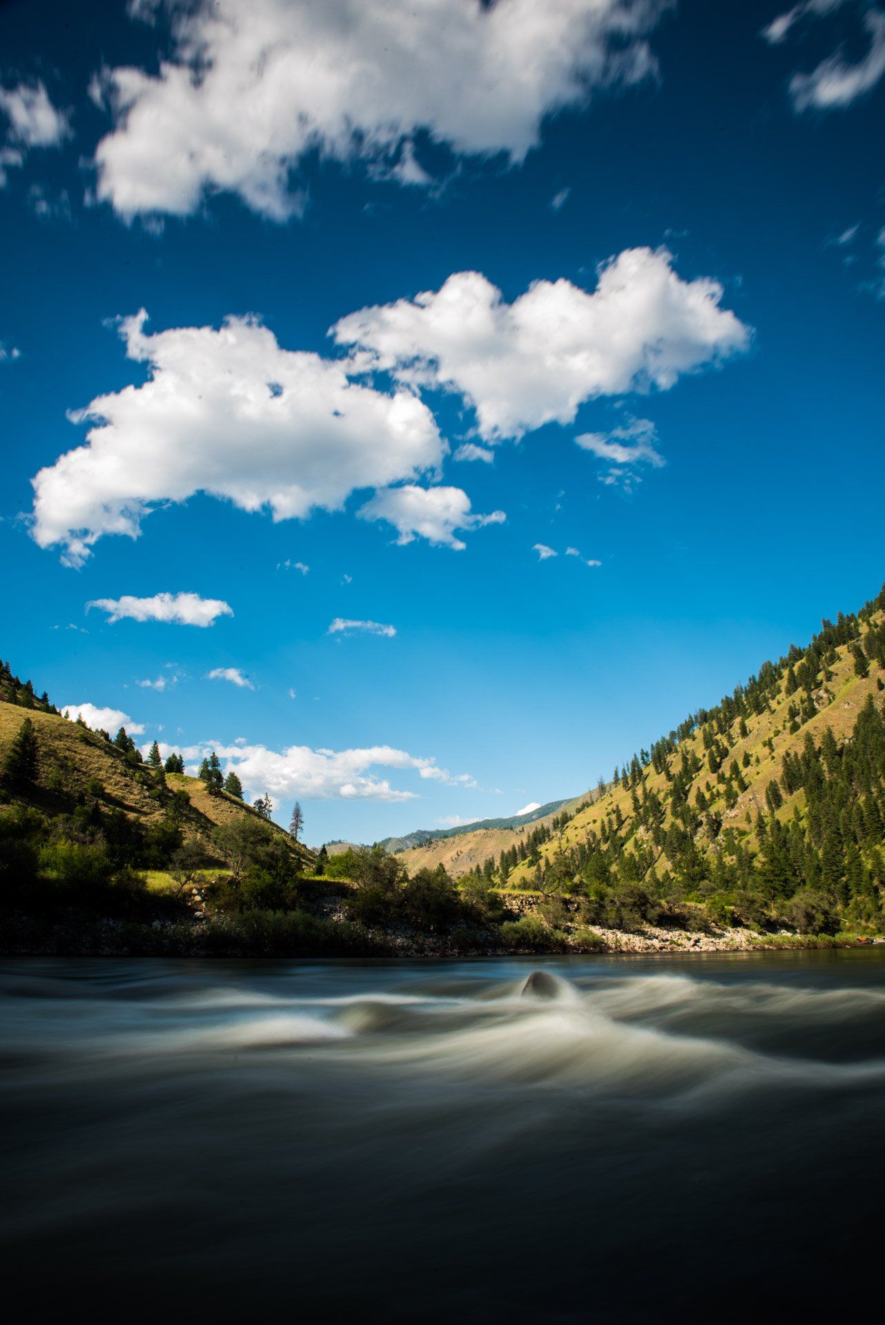 Salmon River Idaho