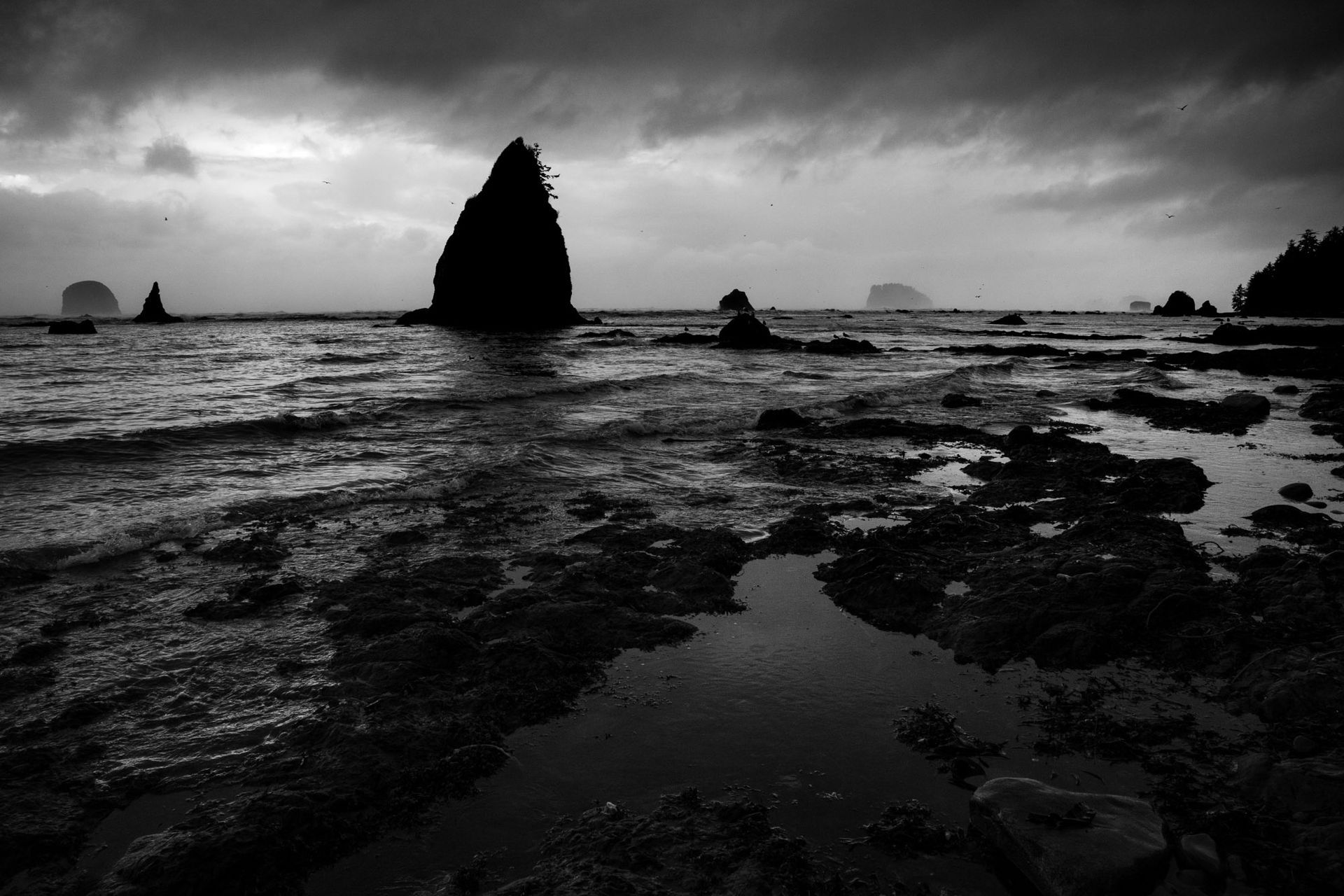 coastal storm weather olympic national park washington fine art landscape photography