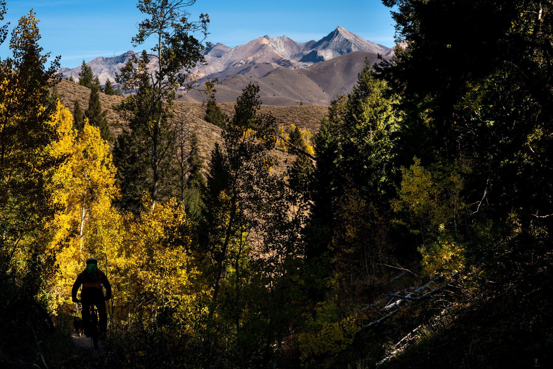 Fall colors mountain biking sun valley idaho