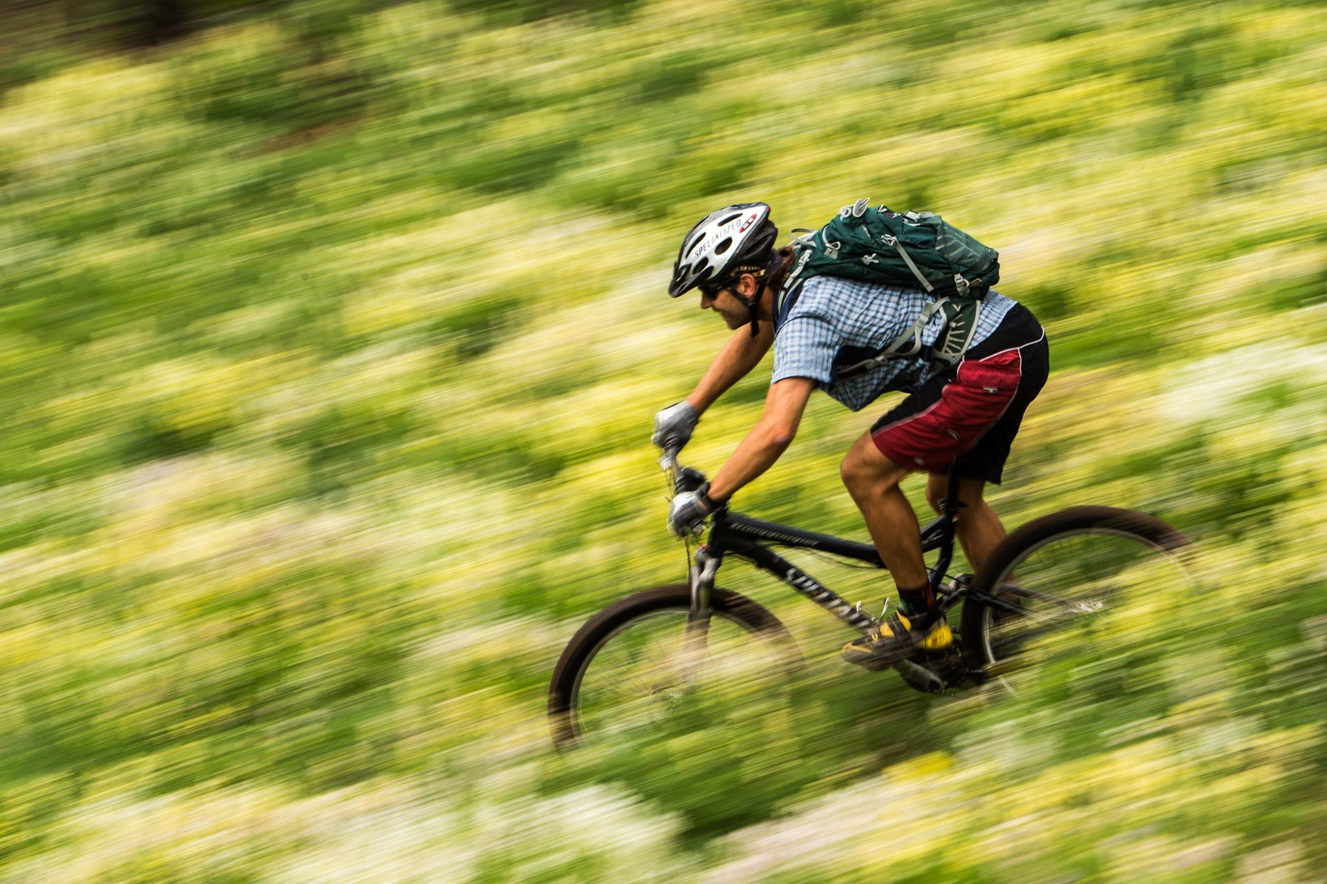 mountain biking in a field of lupine flowers