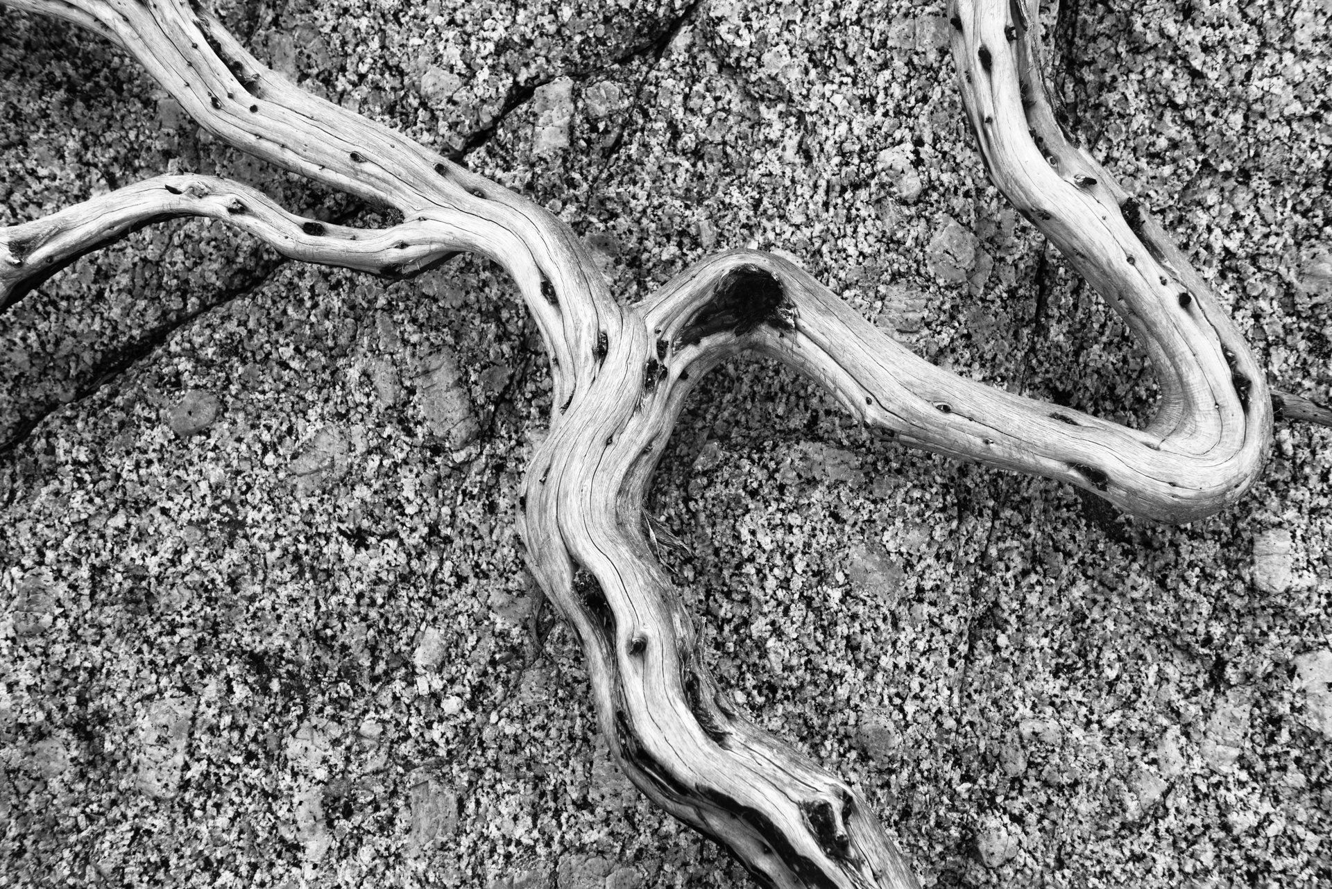 wildfire white cloud mountains idaho