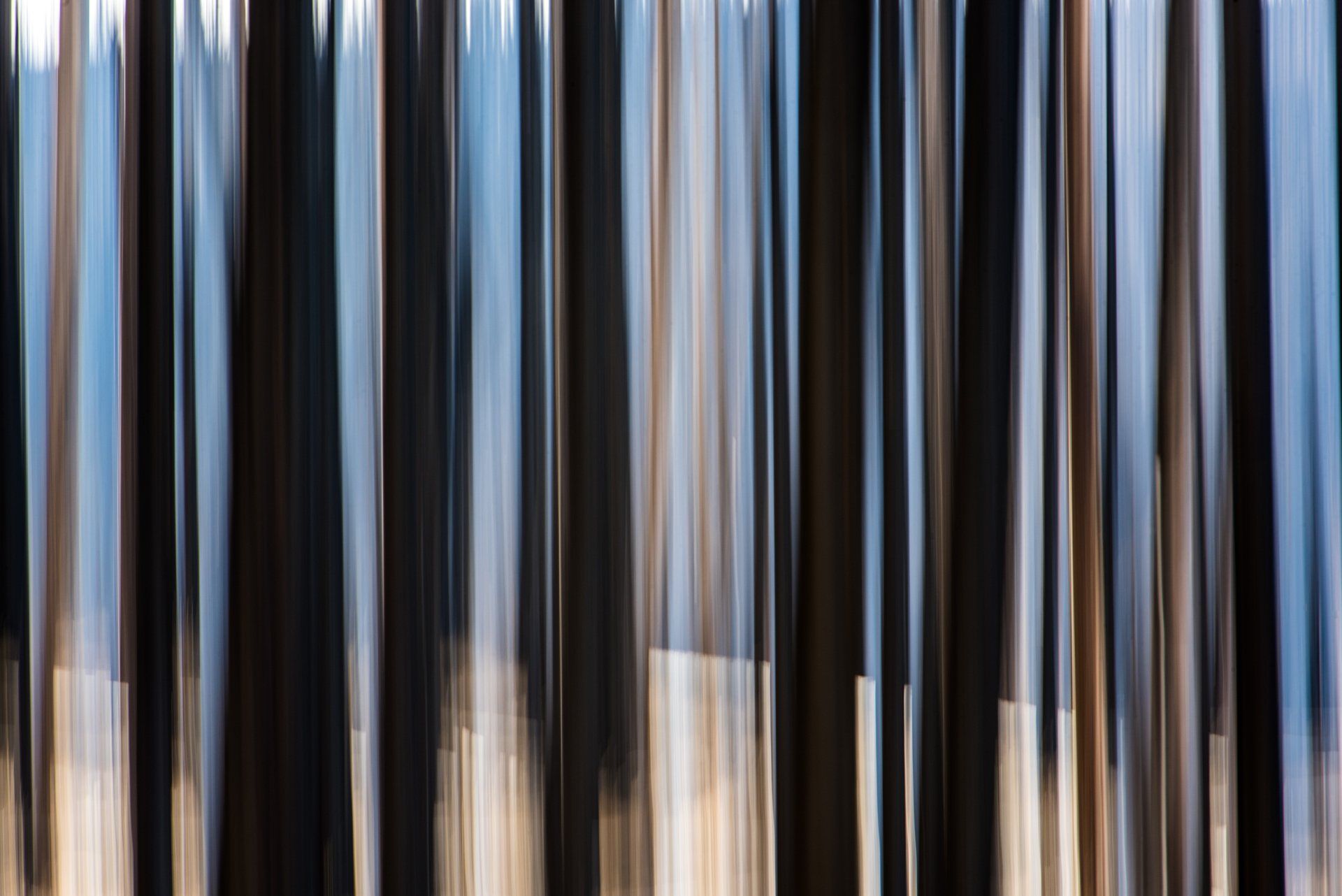 wildfire idaho burnt tree abstract motion blur