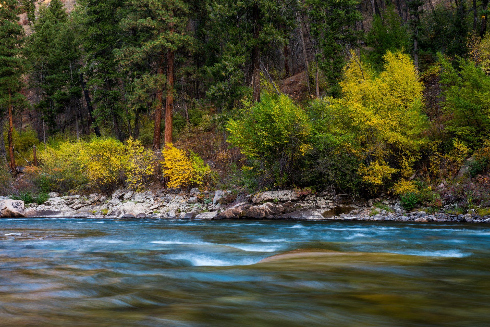 fall colors middle fork salmon river