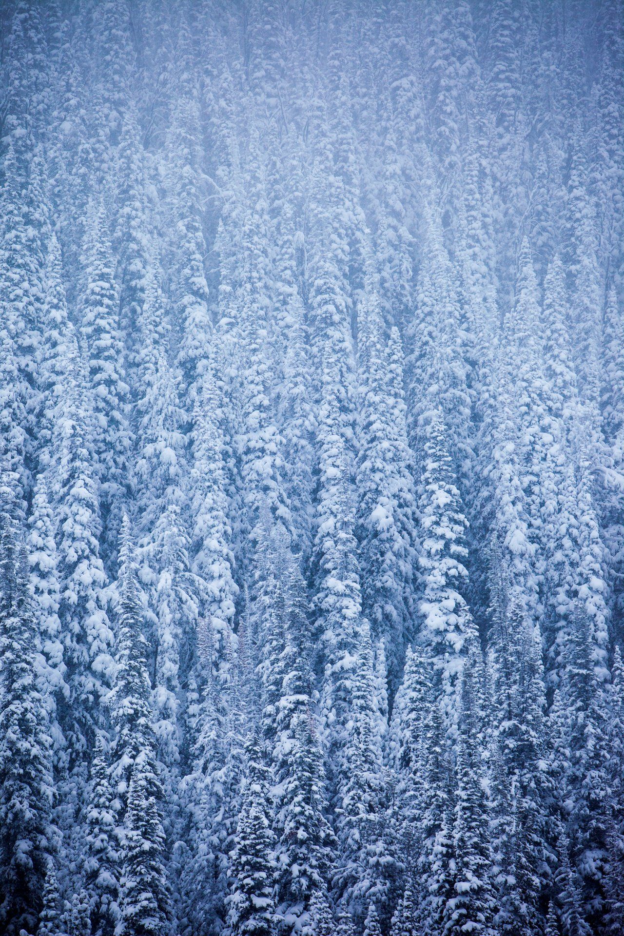 winter storm snow Idaho